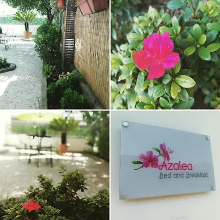 Azalea Alojamento de Acomodação e Pequeno-almoço