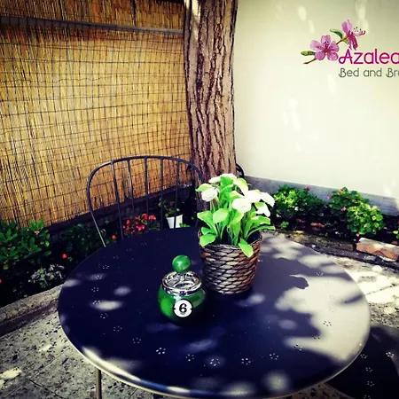 Azalea Alojamento de Acomodação e Pequeno-almoço Nápoles
