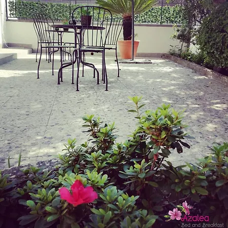 Azalea * Naples