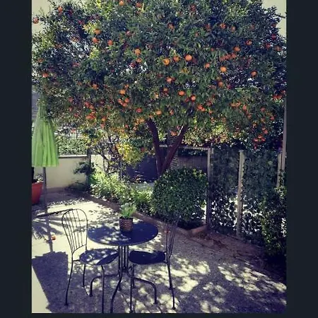 Bed & Breakfast Azalea *